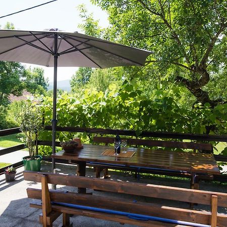 Apartmant & Room Bruna Drežnik Grad Екстериор снимка