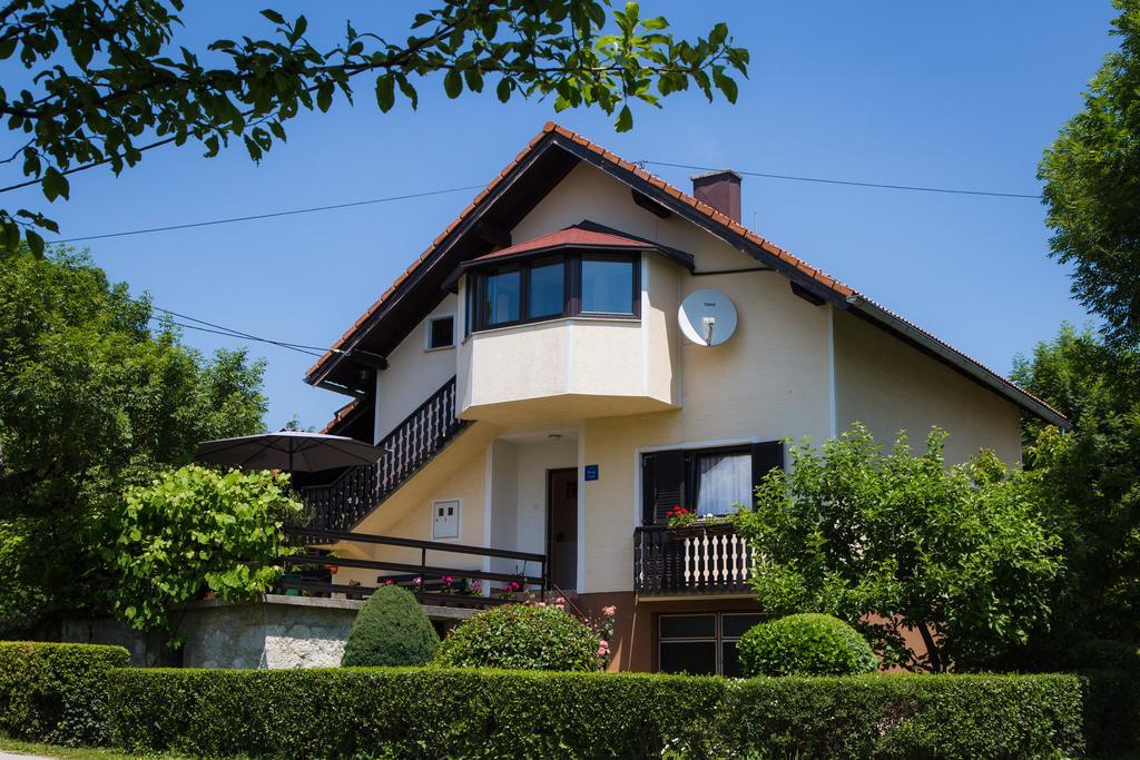 Apartmant & Room Bruna Drežnik Grad Екстериор снимка
