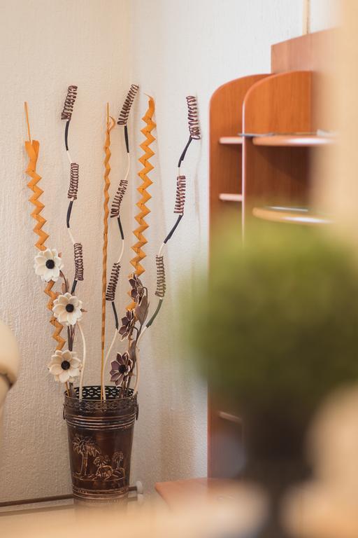 Apartmant & Room Bruna Drežnik Grad Екстериор снимка